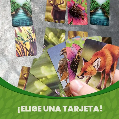 Vista 5 de Ecosistema - Un juego de cartas familiar sobre la construcción de hábitats ¡Aprende sobre animales, ecología y biodiversidad para niños, adultos
