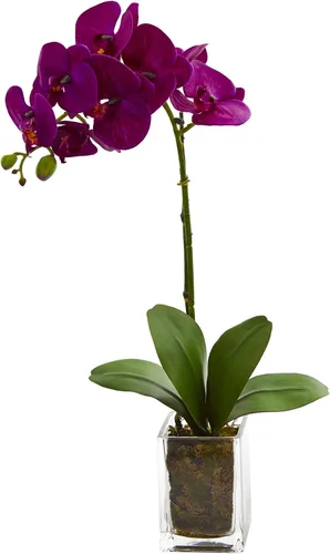 Vista 5 de Nearly Natural Arreglo de orquídeas falaenopsis artificiales de 20 pulgadas Rosa