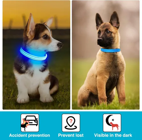Vista 5 de Collar de Perro Iluminado para la Noche, Collar de Perro LED Ajustable, Recargable Impermeable, Luces de Perro para Caminar por la Noche, Brilla