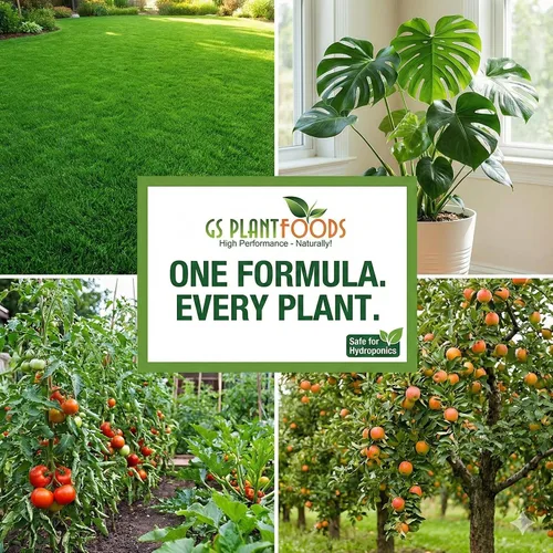 Vista 3 de GS Plant Foods Enmienda del suelo de ácido húmico - Concentrado líquido derivado de leonardita para mejorar la estructura del suelo