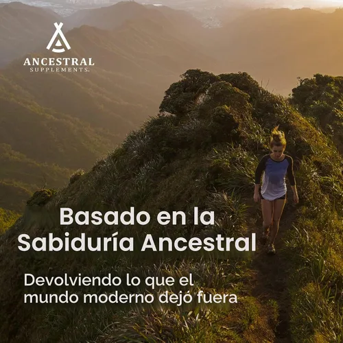 Vista 4 de Ancestral Supplements Cápsulas para intestinos de ternera, soporte