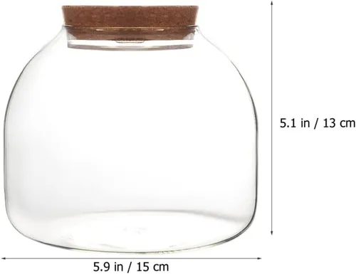Vista 4 de PATKAW Tarro de terrario de vidrio para plantas suculentas, terrario, botella ecológica con tapa de corcho para suculenta helecho, musgo, plantas