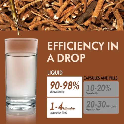 Vista 5 de Gotas de raíz de zarzaparrilla para desintoxicación y limpieza, apoyo hepático y apoyo inmunológico. Mezcla natural con extracto de equinácea