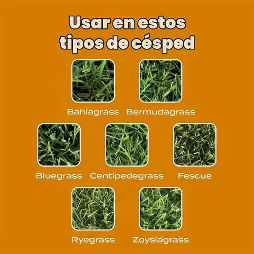 Vista 7 de Scotts Turf Builder WinterGuard Fall Weed & Feed3, Herbicida Plus Fertilizante de Otoño, 4,000 pies cuadrados, 11.43 libras. Weed Killer Plus