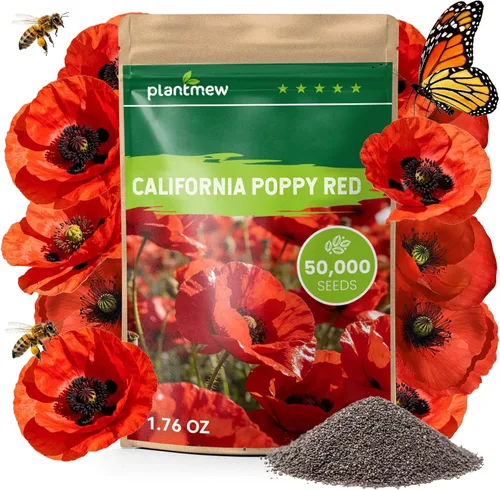 Vista 7 de Semillas de amapola naranja de California para plantar, paquete a granel de 0.35 onzas, más de 10,000 semillas nativas, flor del estado de California