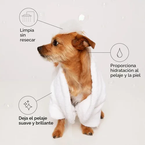 Vista 2 de Ouai Fur Bébé Champú para mascotas, aroma Mercer Street - Champú para perros y lavado para el pelaje que hidrata, limpia y añade brillo - Artículos