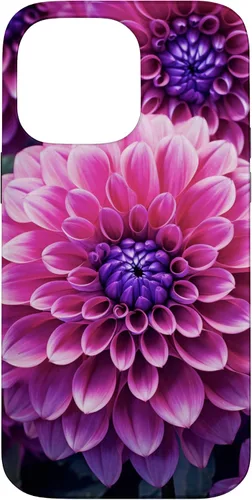 Vista 21 de Dahlia Flower Floral Nature Garden Funda con diseño granate rosa y morado para iPhone 16