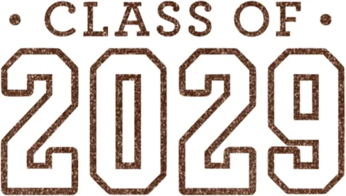 Vista 14 de Calcomanía para planchar de clase 2029, parche de camiseta de clase superior, transferencia de calor, calcomanía gráfica de camiseta HTV
