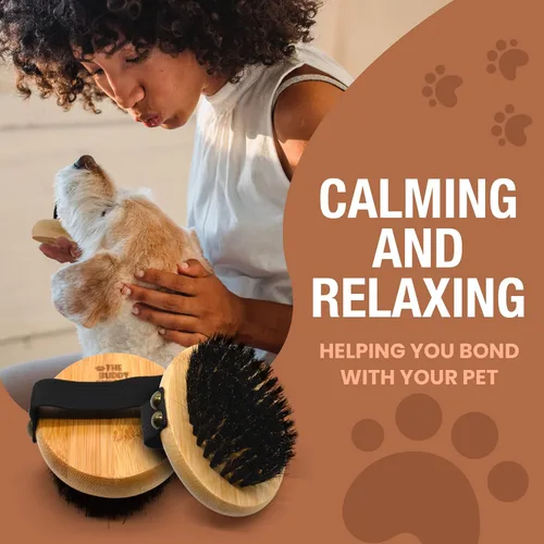 Vista 5 de The Buddy System Cepillo Cercano para Mascotas, Cepillo de Palma Ovalado de Tacto Suave - Masaje de Bambú Portátil con Cerdas Suaves de Jabalí