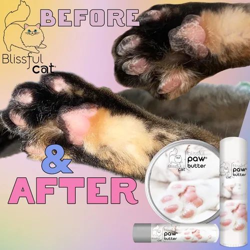 Vista 7 de The Blissful Cat Paw Butter, hidratante para almohadillas secas para patas, suaviza y protege una pata áspera, versátil bálsamo para patas de gato