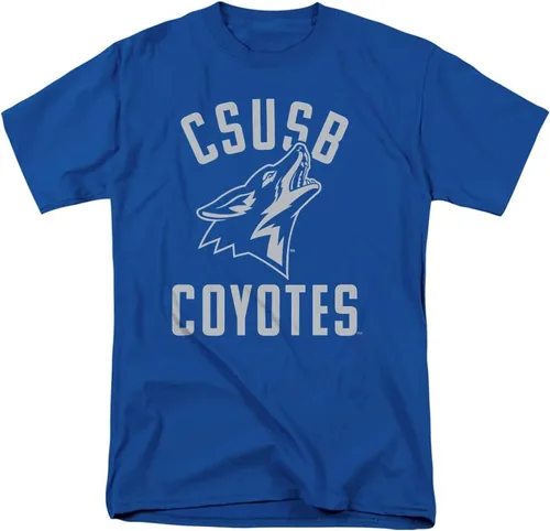 Vista 12 de LOGOVISION Official Collegiate One Color Distressed Logo Short Sleeve for Men & Women T Shirt Collection 3
