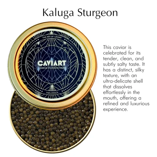 Vista 2 de Kaluga Sturgeon Caviar, Caviart Supreme Sturgeon Roe, Malossol 1 oz 0.99 oz