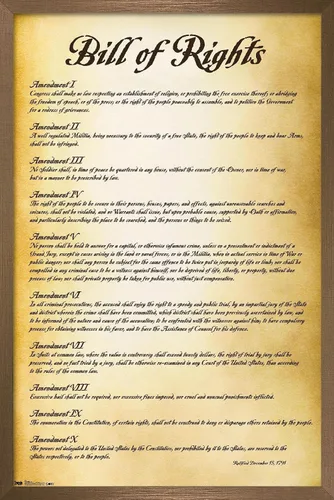 Vista 15 de Trends International The United States of America - Póster de pared de Carta de Derechos, 14.725 x 22.375 pulgadas, versión enmarcada de madera