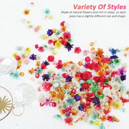 Vista 2 de 710pcs DIY flores secas dispersas aromaterapia vela colgante de resina epoxi