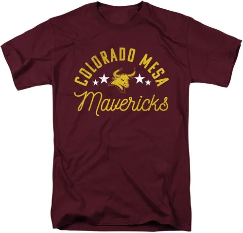 Vista 180 de Collegiate Distressed Mascot Unisex Adult T Shirt Collection 3 Universidad de Adelphi