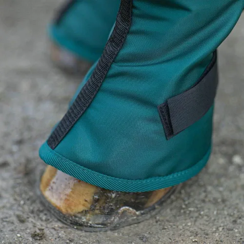 Vista 3 de Dura-Tech Botas prémium para envío de caballos de 14 pulgadas Un par Botas de envío Protección definitiva para patas de caballo Diseño