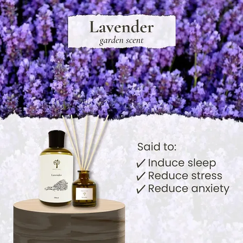 Vista 3 de PRISTINE Lavender Dream - Difusor de varillas para el hogar Difusores de varillas de fragancia fresca de lavanda y eucalipto, difusor de aceite