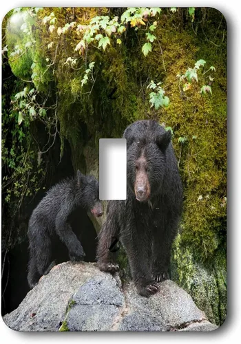 Vista 2 de 3dRose Black bear cub following its mama at Anan Creek. 2 plug outlet cover