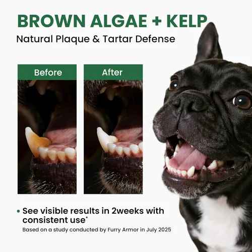 Vista 3 de Pawfect Vita Polvo dental para perros y gatos: ambientador de aliento definitivo y cuidado bucal – Elimina el mal aliento, controla la placa