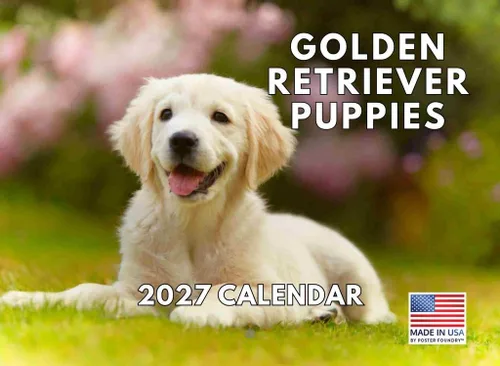 Vista 58 de Calendario mensual de pared Airedale Terrier Dog 2027