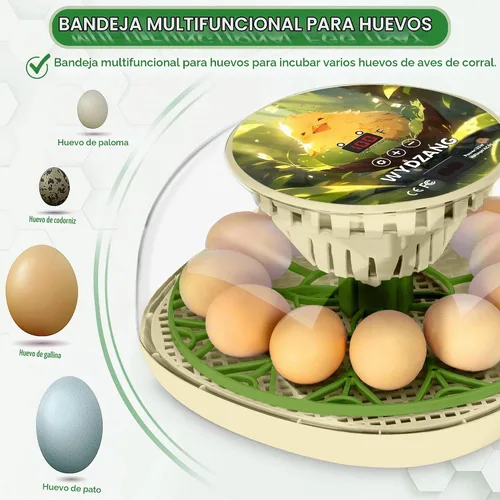 Vista 2 de Incubadoras inteligentes de pollo para incubar huevos con volteador automático, aves, pato, codorniz, incubadora de 12 huevos, pantalla de control