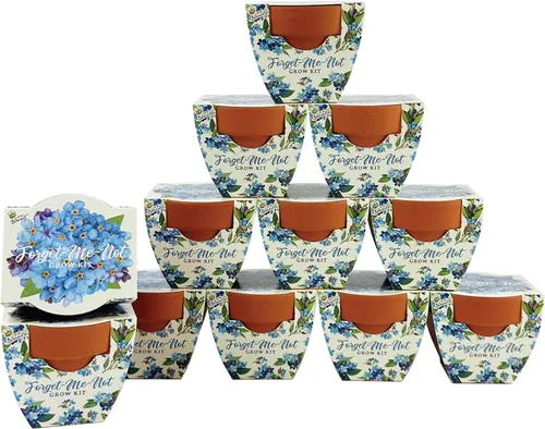 Vista 9 de BUZZY Seeds Daydream - Mini macetas de terracota con paquetes de semillas de margarita, juego de iniciación todo en uno con instrucciones medianas