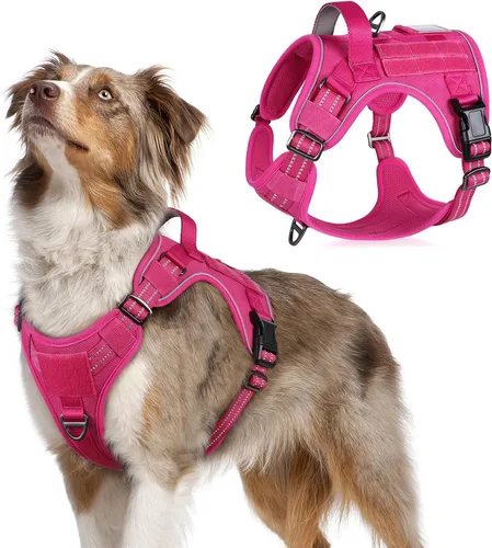 Vista 15 de rabbitgoo Arnés táctico para perros pequeños, chaleco de servicio militar sin tirones con asa y Molle, de fácil control para entrenar y caminar