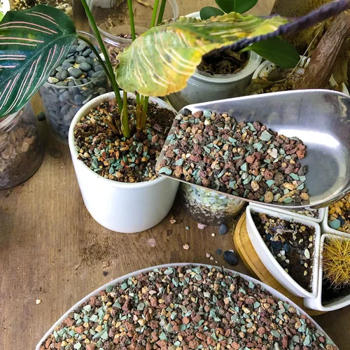 Vista 7 de 2.4 libras Mezcla de guijarros de roca volcánica hortícola para bonsái, piedra pómez para plantas suculentas y cactus, grava decorativa arenosa