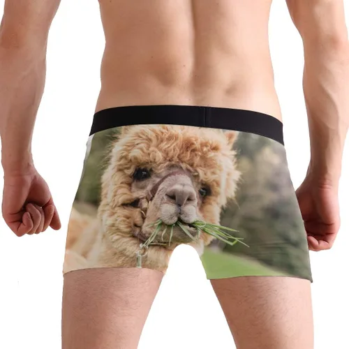 Vista 6 de ZZKKO Skull Llama - Calzoncillos tipo bóxer para hombre, transpirables, elásticos, con bolsa, tallas S-XXL