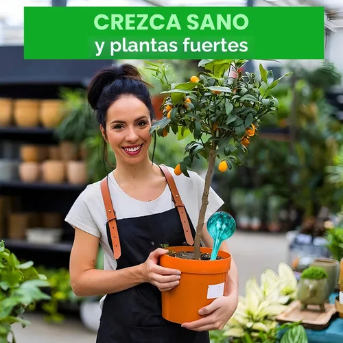 Vista 7 de Bolas de Riego Automático Besti – Paquete de 4 Bolas de Riego Extra Grandes para Plantas – Sistema de Riego Automático para Plantas en Maceta