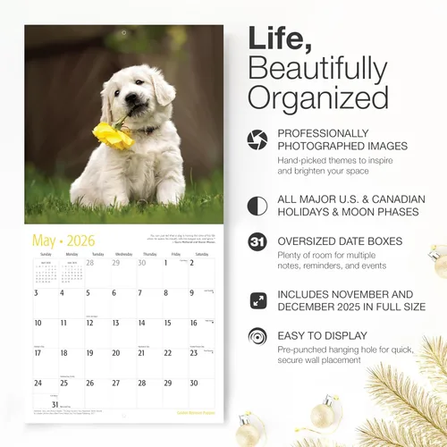 Vista 2 de RED EMBER Golden Retriever Puppies - Calendario de pared 2026 de 12 meses 12 x 24 pulgadas abierto Papel grueso y resistente Regalo