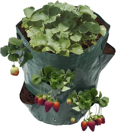 Vista 7 de Bolsas de cultivo para plantación de fresas, paquete de 2 bolsas de cultivo de 11 galones con bolsa de cultivo de 8 bolsillos con asas para fresas