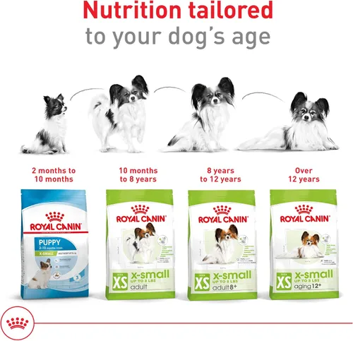 Vista 7 de ROYAL CANIN SIZE HEALTH NUTRITION X-SMALL comida seca para perros adultos