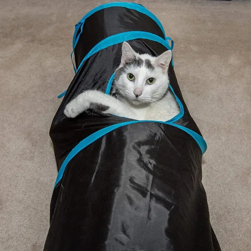 Vista 2 de PetLike Túnel para gatos de interior plegable para mascotas, tubo emergente para mascotas, escondite, juguetes de juego para gatos con pelota