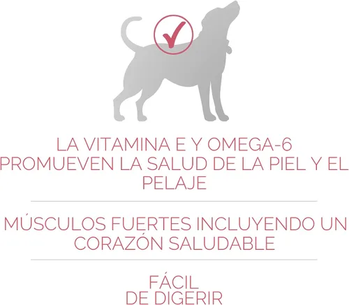 Vista 4 de Purina ONE Alimento seco natural para perros con estómago sensible, fórmula +Plus para piel y pelaje, bolsa de 16.5 libras
