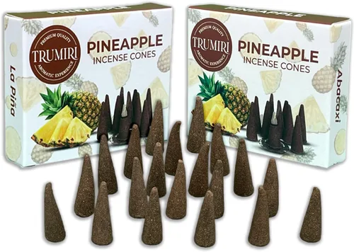 Vista 73 de TRUMIRI Incienso ámbar – Paquete de 20 conos (2 x 10) – Incienso de cono perfumado
