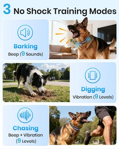 Vista 3 de Collar de entrenamiento para perros sin golpes con control remoto