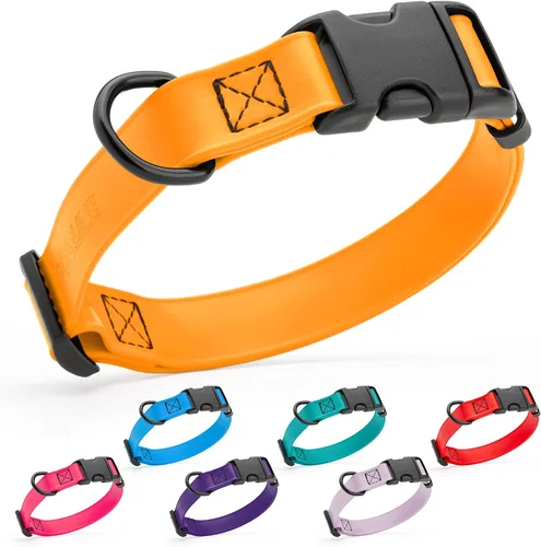 Vista 125 de Dogline Biothane - Collar impermeable para perro con hebilla de liberación rápida, resistente cincha de nailon recubierta con resistente y a prueba
