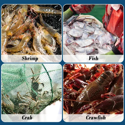 Vista 6 de Trampa de cebo de pesca de 10 lados, 10 agujeros, 32 x 10 pulgadas, redes de pesca plegables portátiles para cangrejos Minnow Crab Shrimp Crawdad