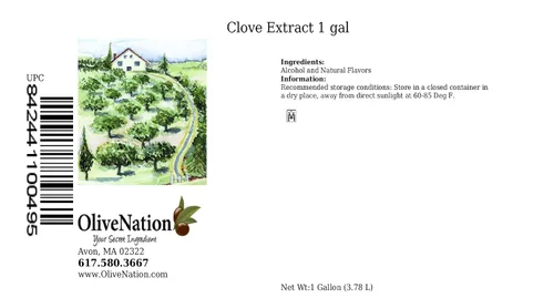 Vista 2 de OliveNation Extracto de clavo puro - 1 galón - Etiquetado Kosher, sin gluten, sin azúcar - Nota picante para pasteles, galletas, brownies, glaseados