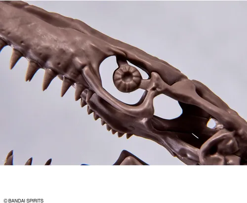 Vista 14 de Bandai Hobby Mosasaurus Imaginary Skeleton 1/32 Dinosaur Model Kit