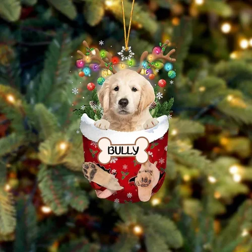 Vista 181 de IZI POD Affenpinscher Adorno de Navidad personalizado para perro, adorno de bolsillo de nieve para perro para árbol de Navidad, adorno acrílico