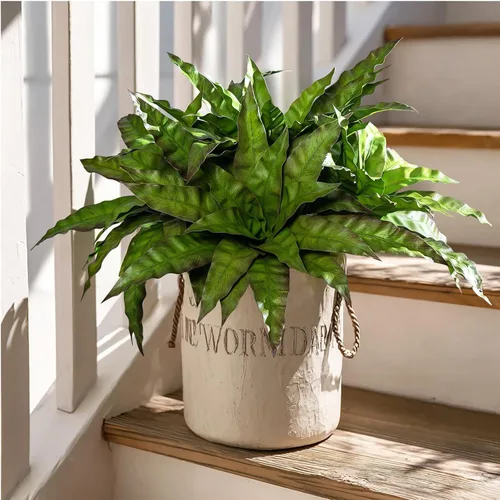 Vista 10 de 4 Piezas Tallos de Vegetación Artificial Helecho Nido de Pájaro Falso Ramas Falsas Plantas Artificiales Dracaena Falsa Realista Plantas Realistas