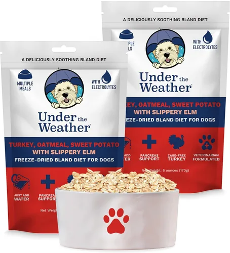 Vista 23 de Under the Weather Bland Diet para perros Fácil de digerir para perros enfermos Siempre esté listo Contiene electrolitos – Carnes naturales