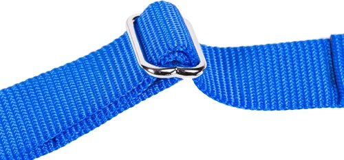 Vista 8 de GoGo Pet Products GoGo - Collar de perro Martingala de 3/4 pulgadas, mediano, color azul