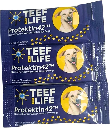 Vista 8 de TEEF for Life Protektin42 - Recambio de polvo dental prebiótico para perros, 30 porciones
