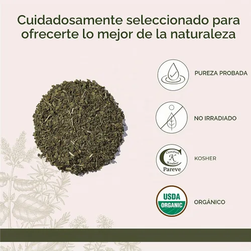 Vista 4 de Starwest Botanicals Té orgánico de hoja de ortiga corte suelto y tamizado, 1 libra a granel
