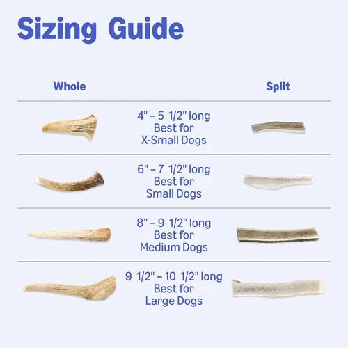 Vista 5 de Marca Amazon – Wag Dog Deer Antler masticable, desprendido naturalmente. Entero, pequeño, de larga duración para masticadores agresivos, mejor