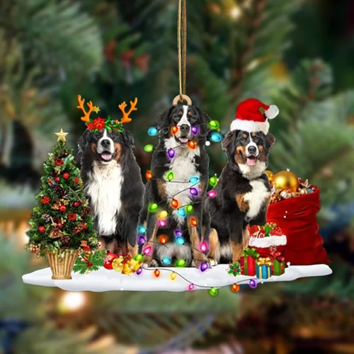 Vista 13 de Nazenti Adorno de Navidad personalizado con amigos Affenpinscher – Adorno de perro personalizado para amantes de las mascotas, acrílico plano