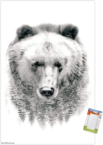 Vista 16 de Trends International Póster de pared de oso - árboles, 14.725 x 22.375 pulgadas, versión enmarcada de madera de granero